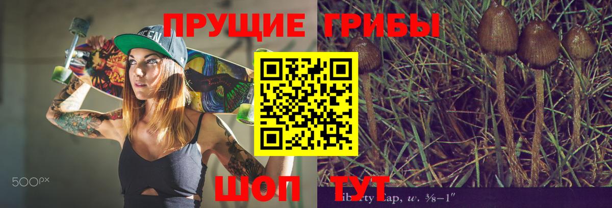 Партизанск  Псилоцибиновые грибы MAGIC MUSHROOMS  Вход с VPN 